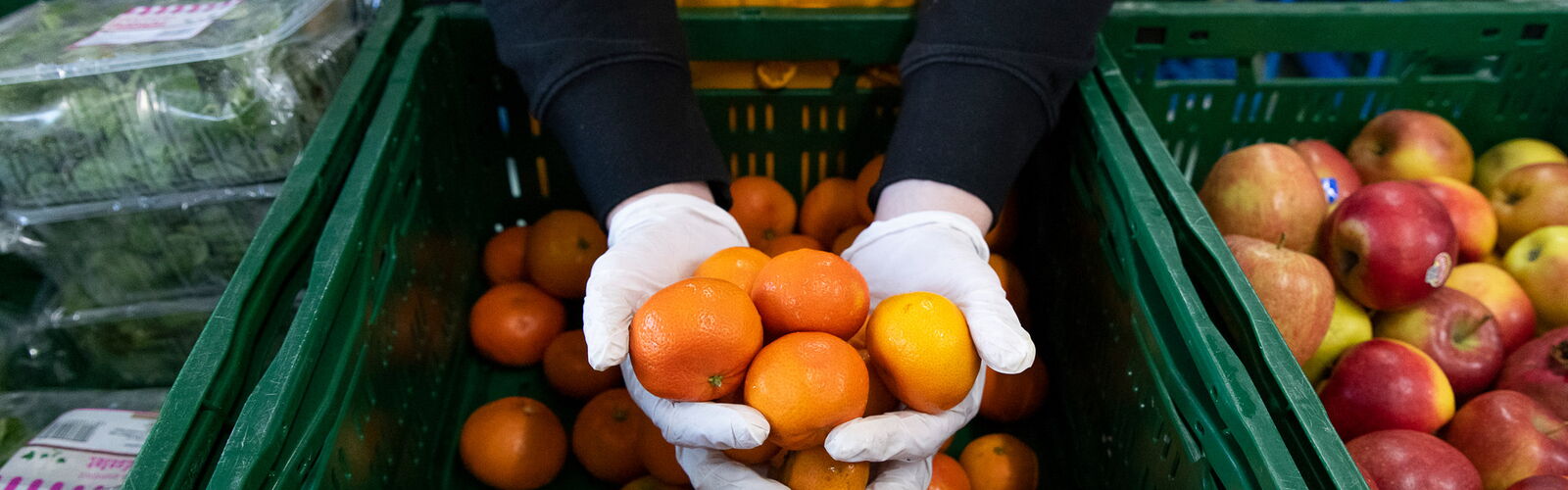 Kisten mit Mandarinen und Äpfeln